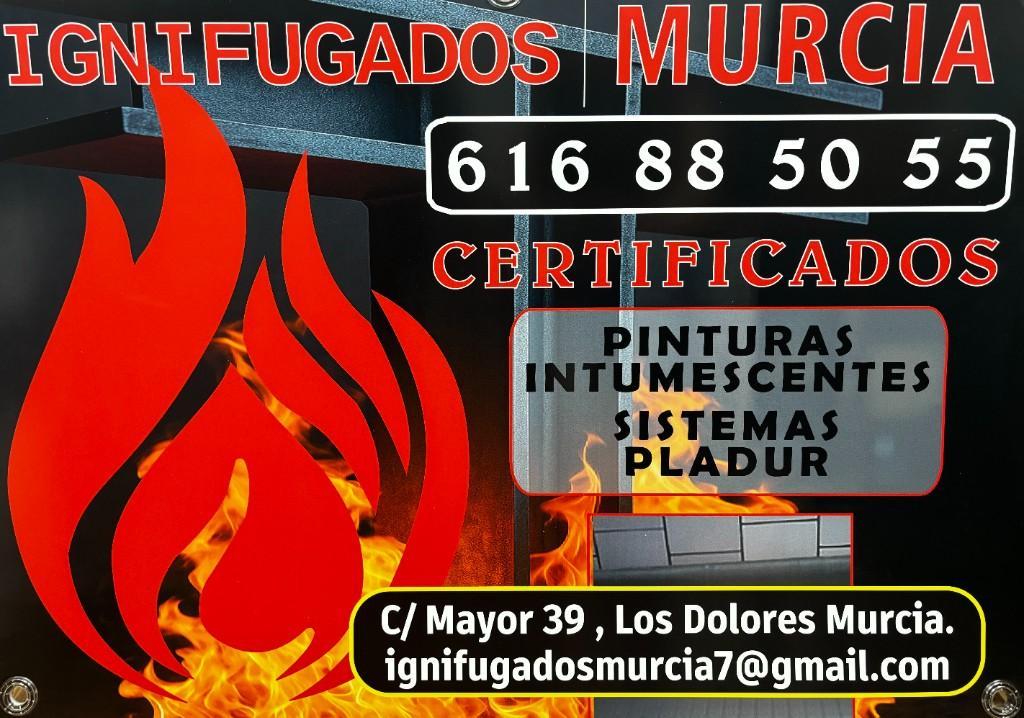 IGNIFUGADOS (MURCIA) en Cartagena - Imagen 1