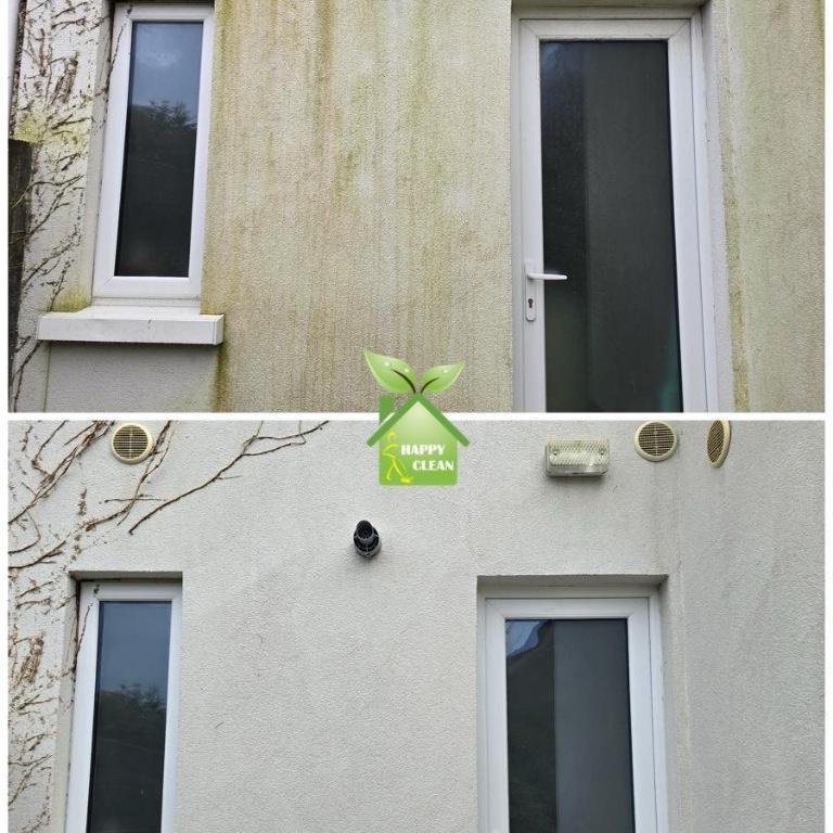 PROFESSIONAL SOFT WASHING in Dublin - Image 2