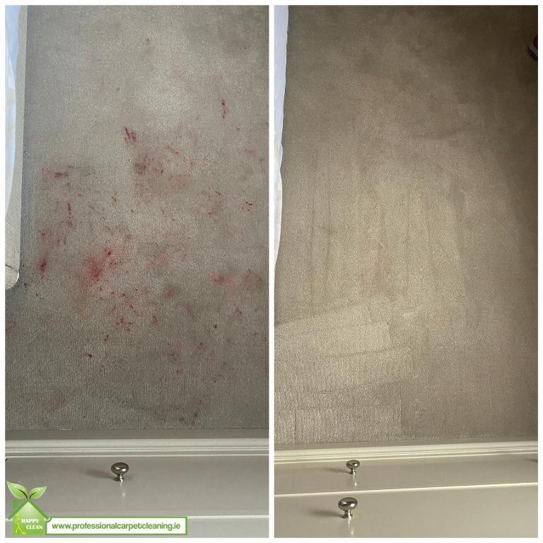 PROFESSIONAL STAIN REMOVAL in Ireland - Image 1