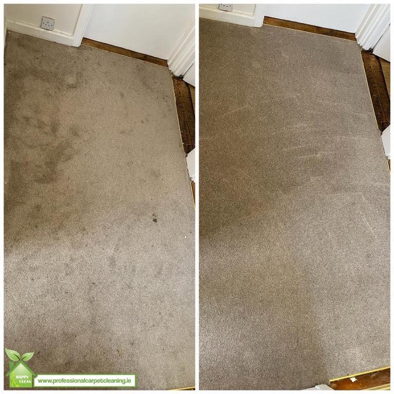 PROFESSIONAL STAIN REMOVAL in Ireland - Image 2
