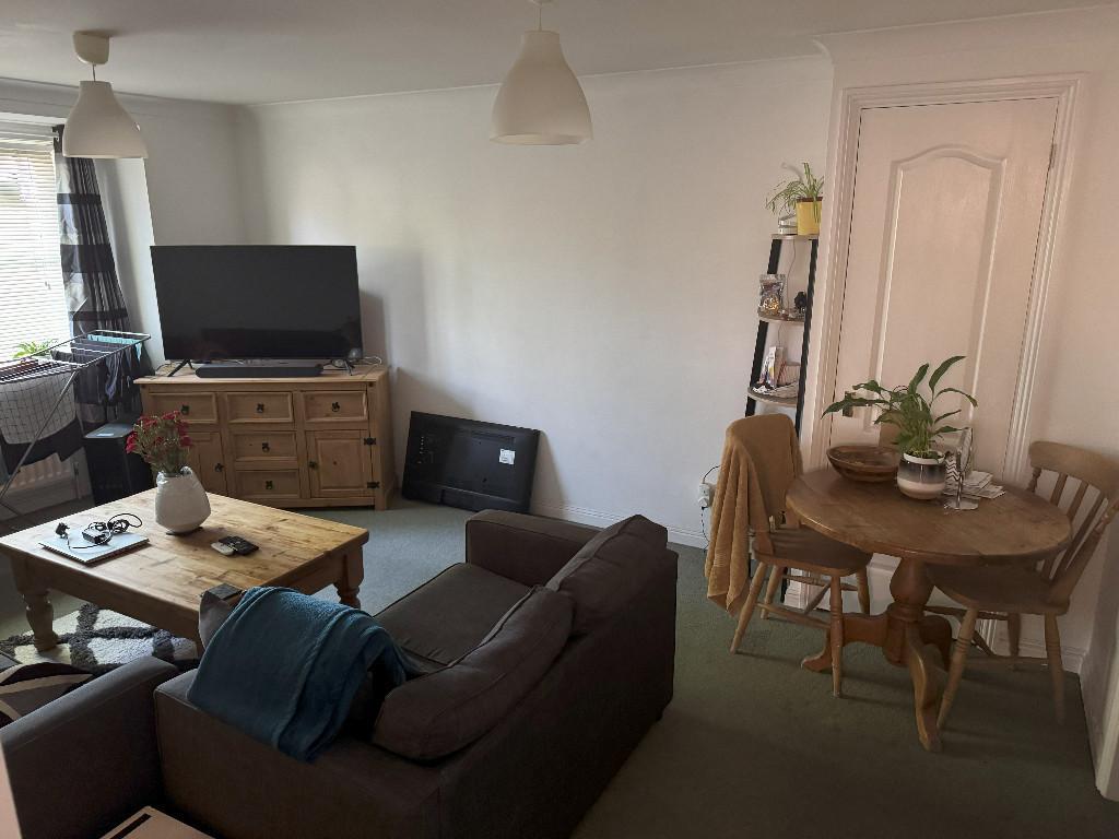 A friendly flat needs a like minded flatmate in Hounslow - Image 5