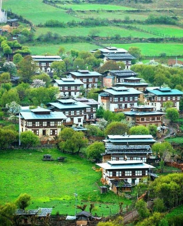 Bhutan Package from Hasimara in Howrah - Image 2