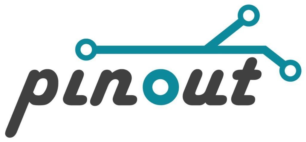 Pinout Solutions en Madrid - Imagen 1