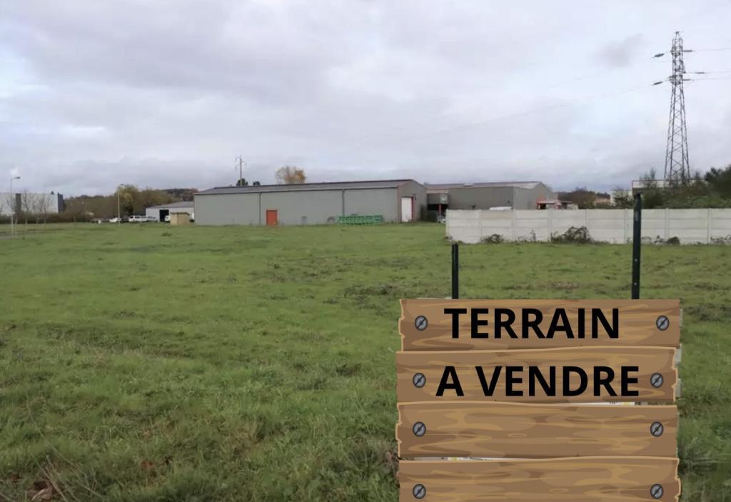 PRODUIT RARE à La Teste-de-Buch - Photo 1