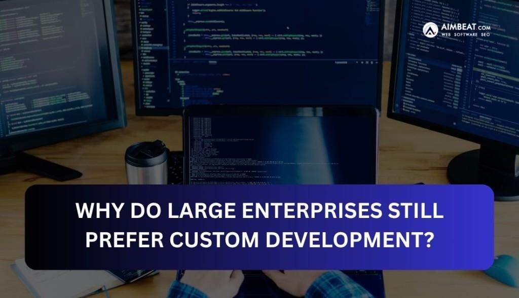 Why Do Large Enterprises Still Prefer Custom Development in Mumbai - Image 1