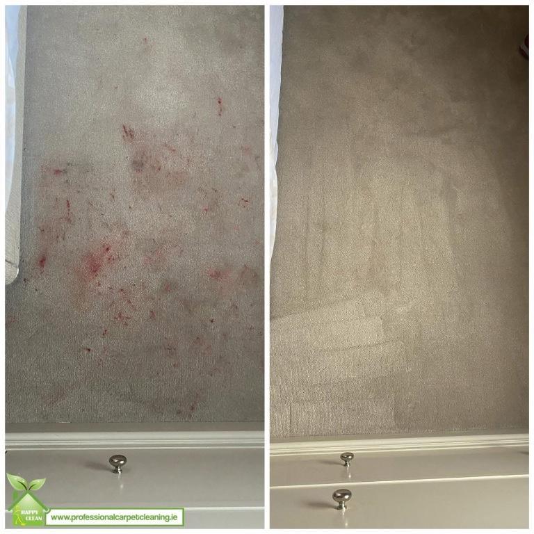 PROFESSIONAL CLEANING SERVICES in Swords - Image 3