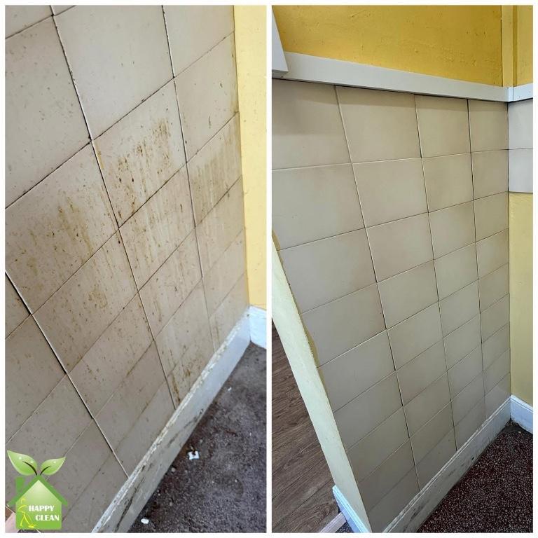PROFESSIONAL CLEANING SERVICES in Swords - Image 6