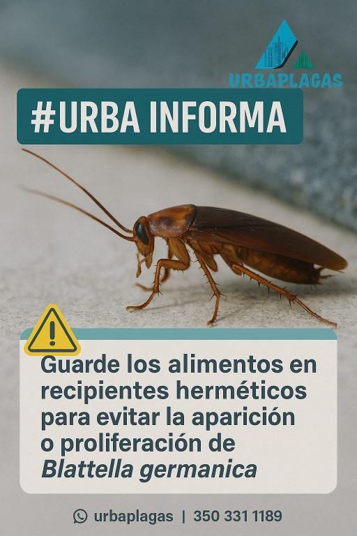 SERVICIO FUMIGACION en Medellín - Imagen 2