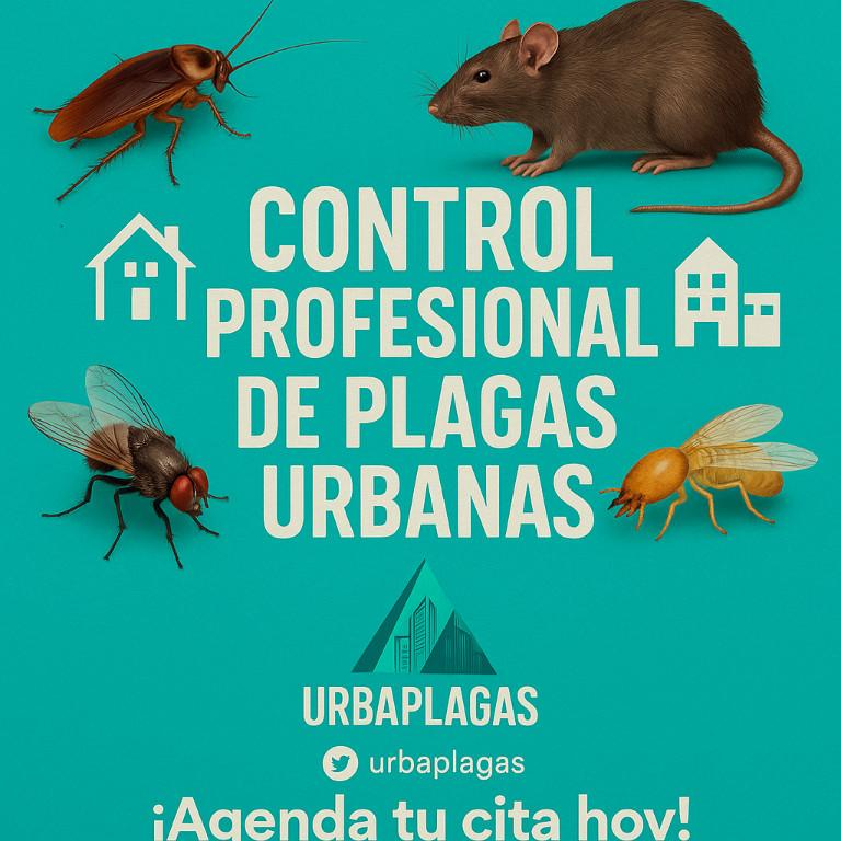 SERVICIO FUMIGACION en Medellín - Imagen 3