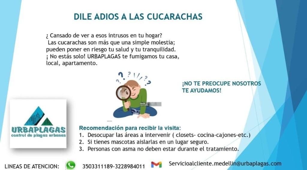 SERVICIO FUMIGACION en Medellín - Imagen 4