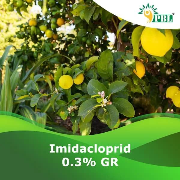 Imidacloprid 70 WS – Systemic Insecticide by Peptech Bioscience in Loni - Image 1