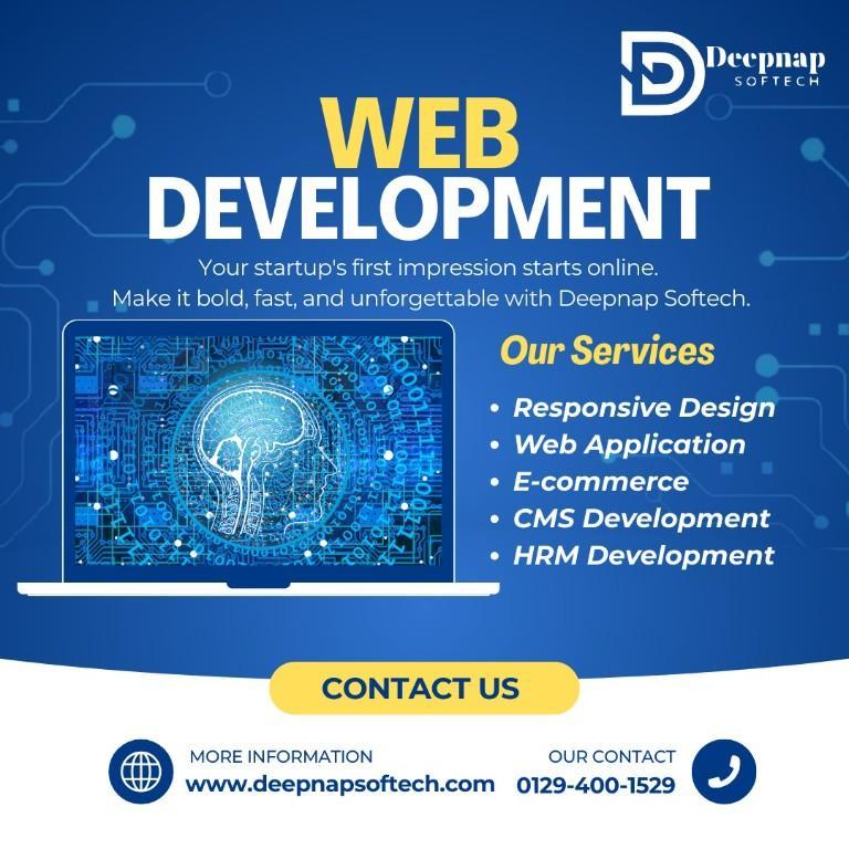 Custom Software Development Faridabad in Faridabad - Image 1