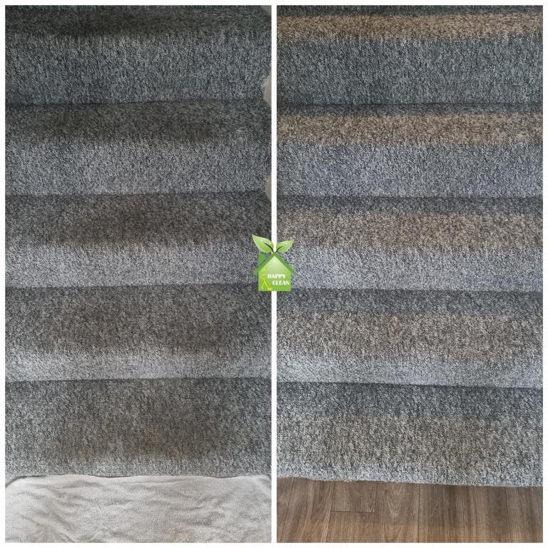 PROFESSIONAL CARPET CLEANING in Swords - Image 2