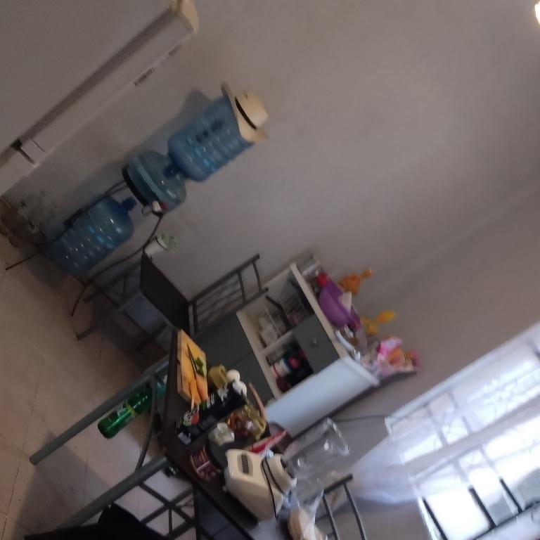 Sra asistente de limpieza en México - Imagen 1