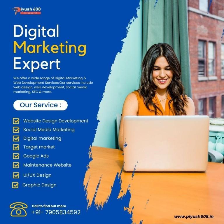 Er. Piyush608 No.1 Remote Web Designer and Developer in New Delhi - Image 4
