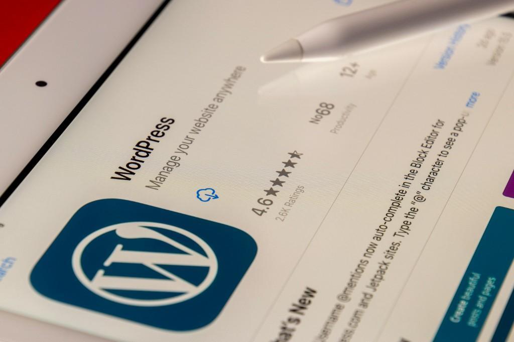 Expert WordPress Developer for Custom Websites in Vasanth Nagar - Image 1