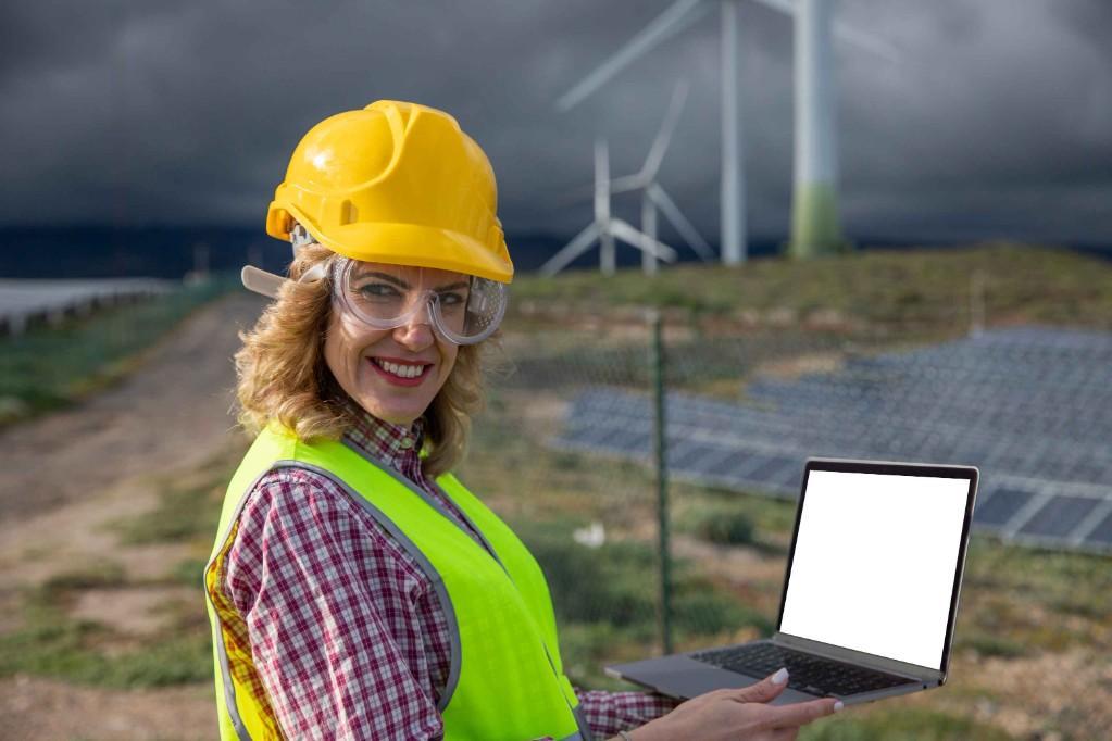 Energy Demand Forecasting Software (REDFx) in Shāhdara - Image 1