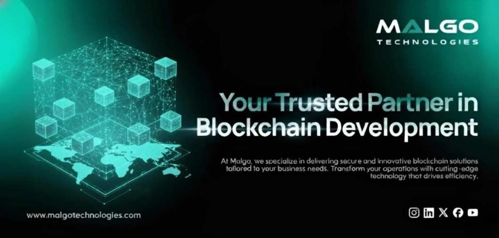 Professional Blockchain Development Company for Your Projects in Pune - Image 1