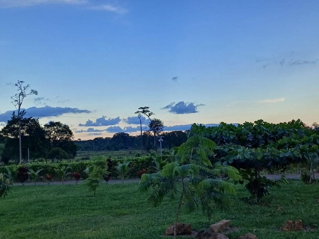 SE VENDE BELLA PROPIEDAD CON 2 CASAS EN SARAPIQUÍ. en Sarapiquí - Imagen 3