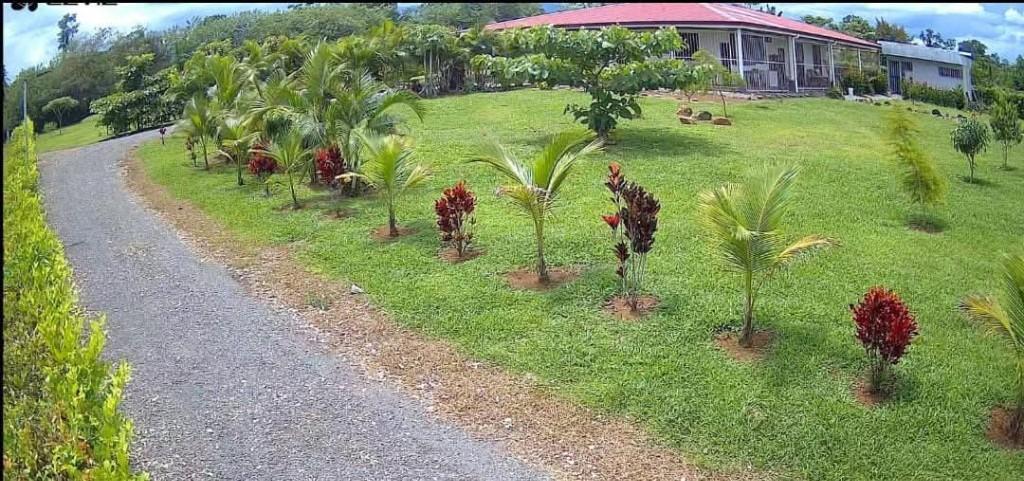 SE VENDE BELLA PROPIEDAD CON 2 CASAS EN SARAPIQUÍ. en Sarapiquí - Imagen 6
