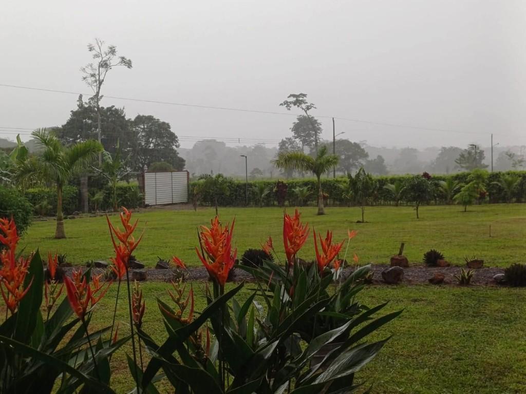 SE VENDE BELLA PROPIEDAD CON 2 CASAS EN SARAPIQUÍ. en Sarapiquí - Imagen 11