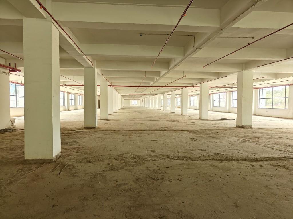 FOR RENT 250 MTR BUILDINGP in Noida - Image 2