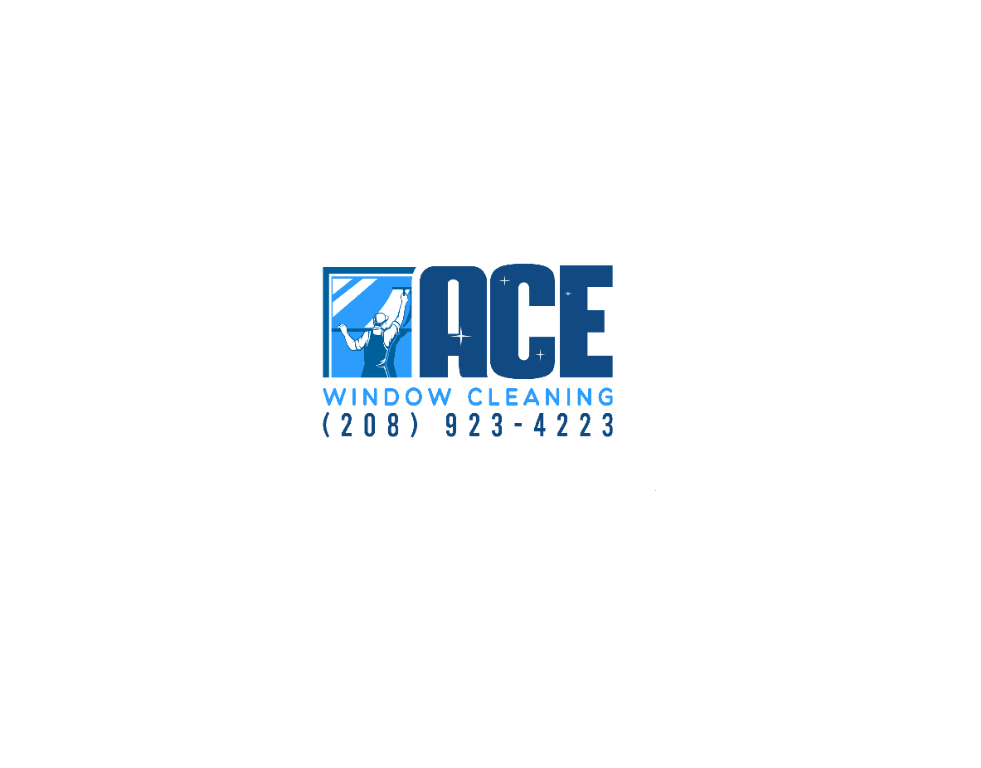 ACE Window Cleaning in India - Image 1