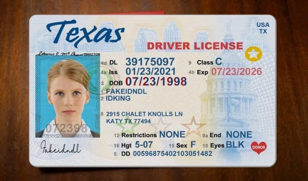 DMV LICENCIAS ONLINE en los Estados Unidos - Imagen 2