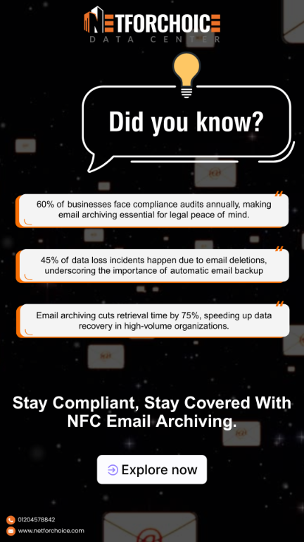 Why Smart Businesses Trust NetForChoice Email Archiving in Ghaziabad - Image 1