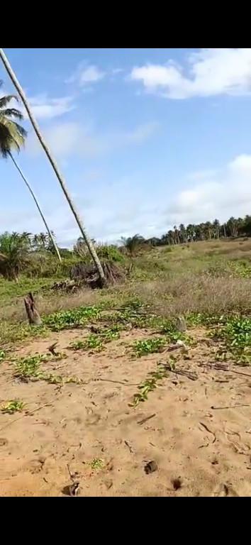 Terrain 1000 m2 en Côte d’Ivoire - Photo 1