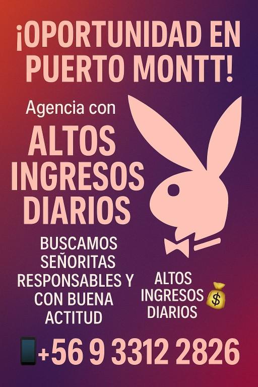 GRAN OPORTUNIDAD DE GENERAR INGRESOS FACIL Y RAPIDO.! en Maule - Imagen 3
