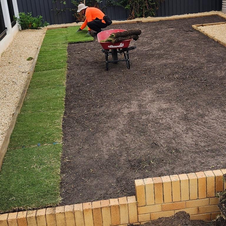 Wintergreen Couch Turf in Brisbane - Image 2