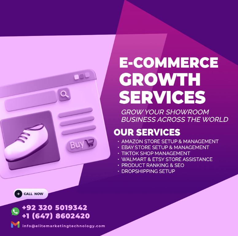 Advanced Digital Solutions for Software & E-Commerce Growth à Colmar - Photo 2
