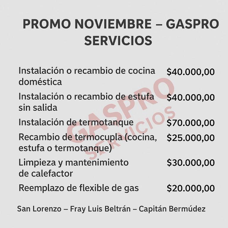 PLOMERO GASISTA en Capitán Bermúdez - Imagen 2
