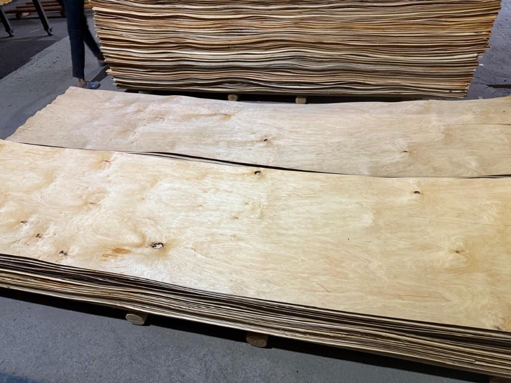 Rotary-Cut Veneer Sheets – Stable Quality, Competitive Price in Deutschland - Bild 2