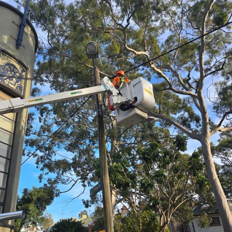 Eagle Power Group in Warringah - Image 8