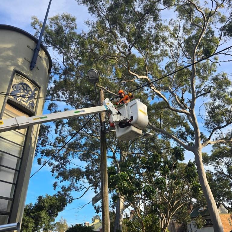 Eagle Power Group in Warringah - Image 3