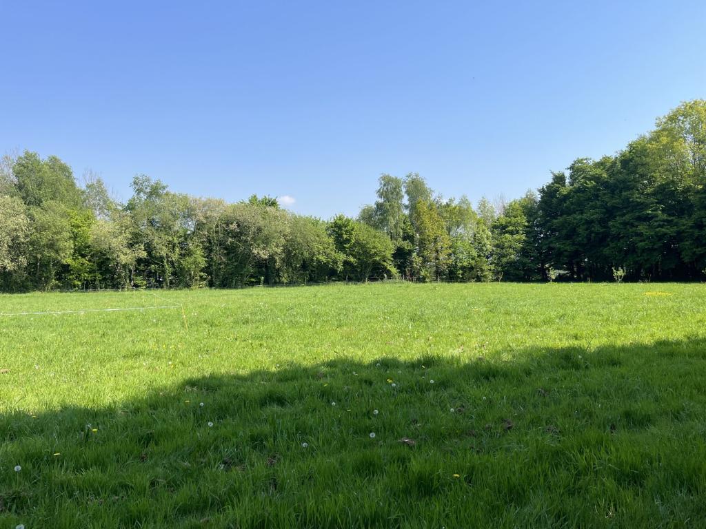 Terrain constructible à Vannes - Photo 1