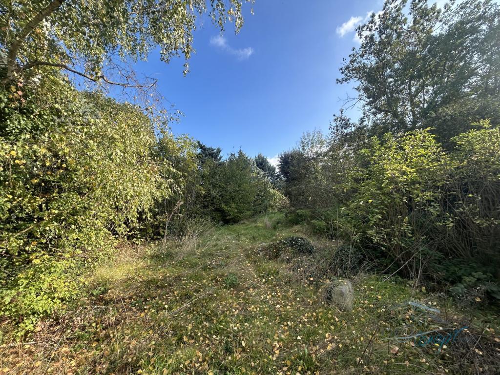 EXCLUSIVITÉ IDEAL CONCEPT à Étampes - Photo 1