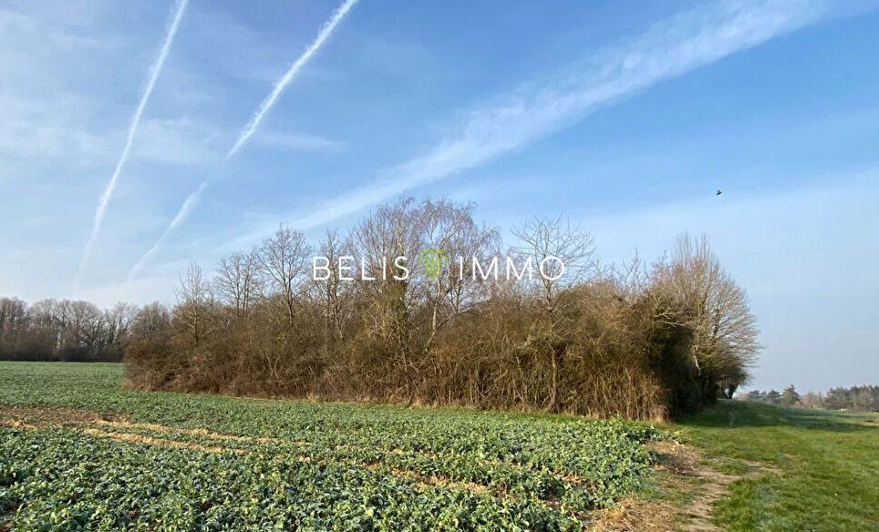 PARCELLE DE BOIS - AMBOISE 2290 M² à Tours - Photo 1