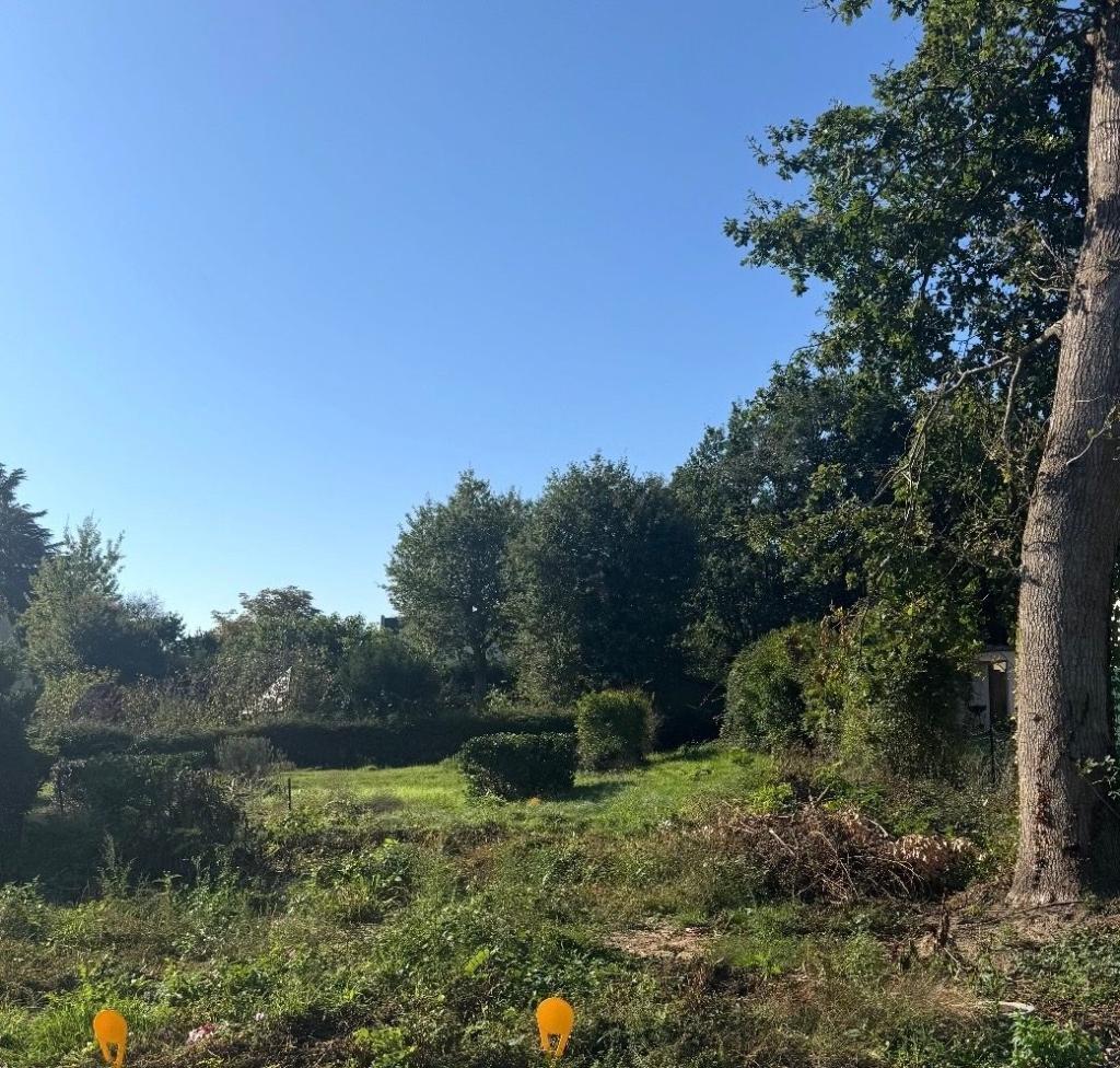 NOUVEAUTE à Joué-lés-Tours - Photo 1