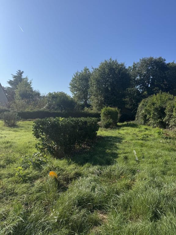 NOUVEAUTE à Joué-lés-Tours - Photo 1