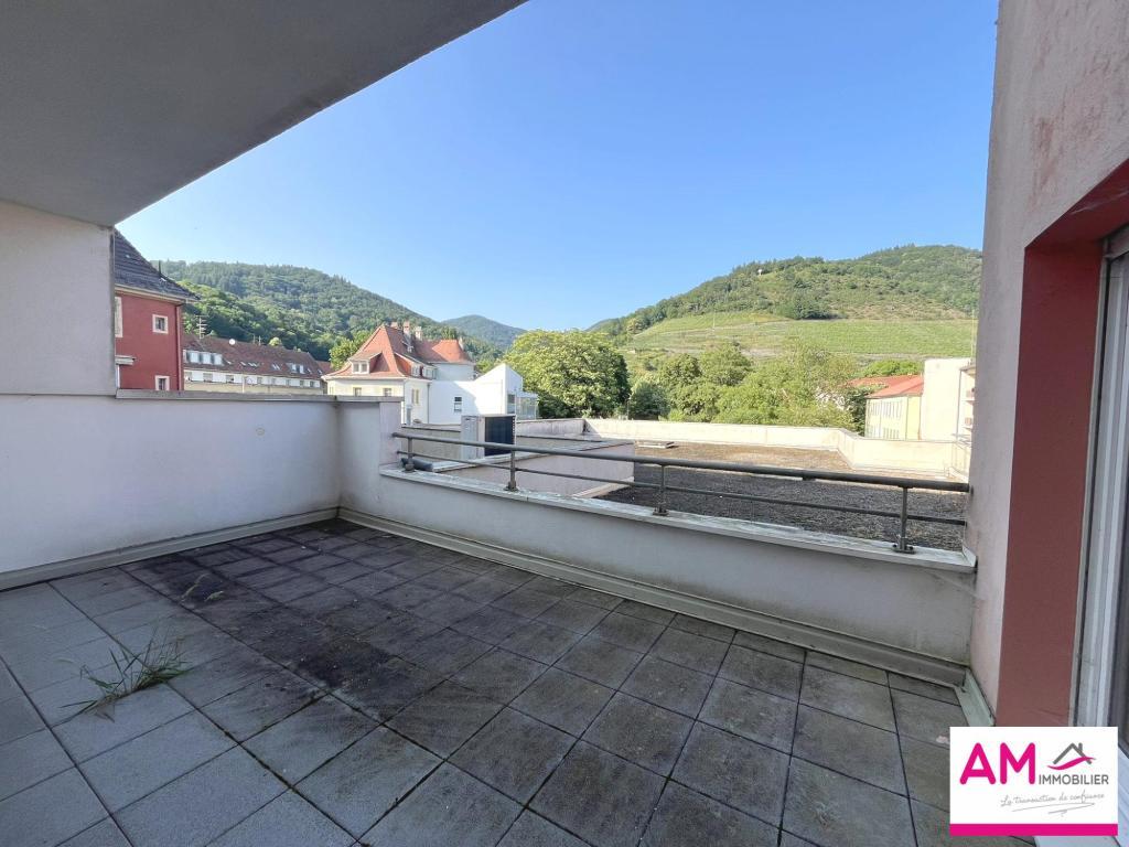 APPARTEMENT TERRASSE THANN à Mulhouse - Photo 1