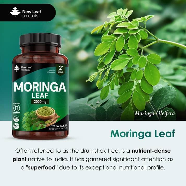 New Leaf Moringa Leaf Capsules in Ghana - Image 2