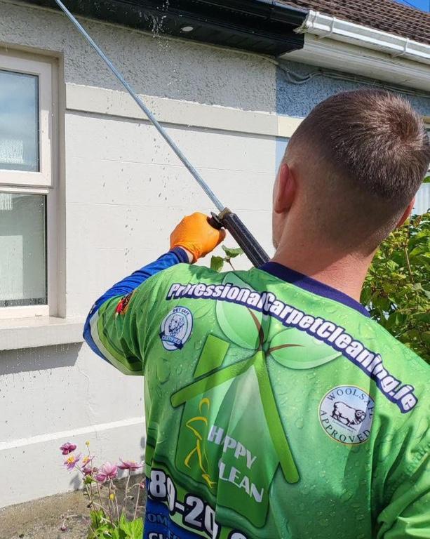 PROFESSIONAL GUTTER CLEANING in Ireland - Image 1