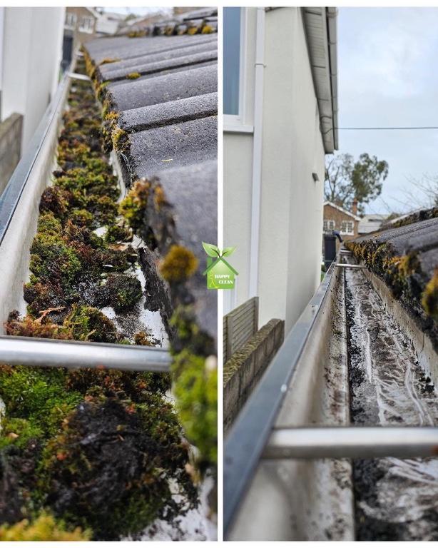 PROFESSIONAL GUTTER CLEANING in Ireland - Image 2