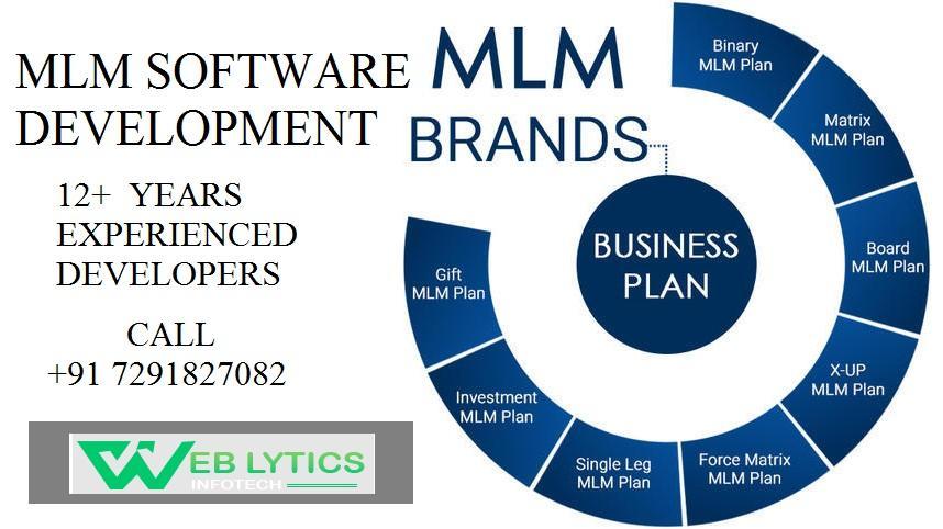 MLM Software Development Services in Delhi by Weblytics Infotech in Delhi - Image 1