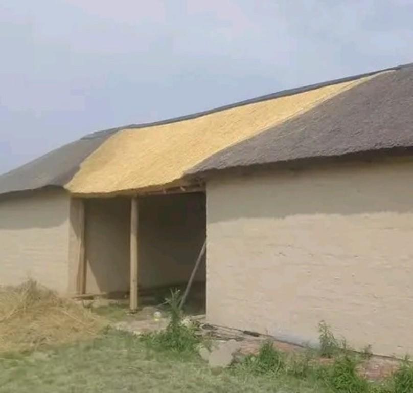 Baberwa Thatching in South Africa - Image 3