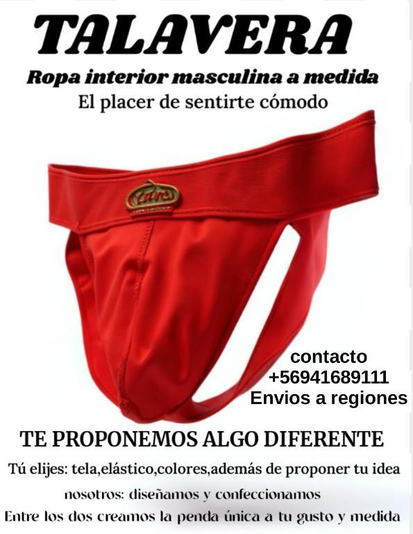 TALAVERA ROPA INTERIOR MASCULINA A MEDIDA en La Florida - Imagen 1
