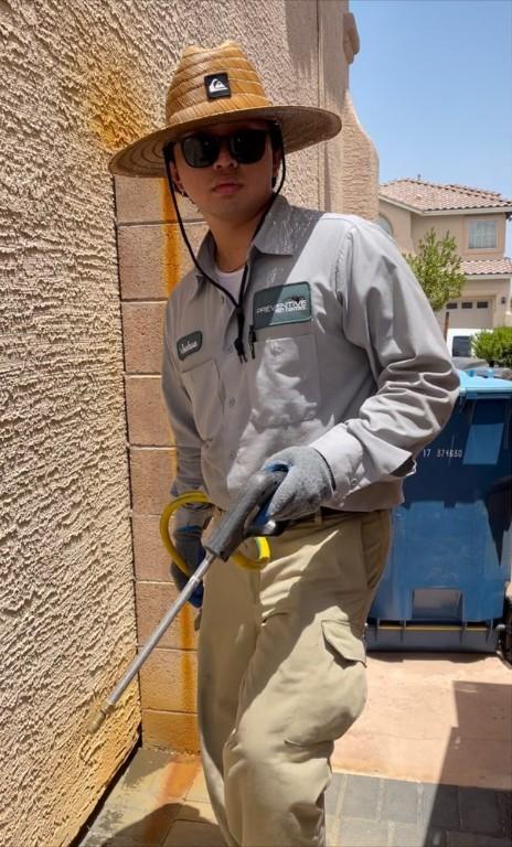 Preventive Pest Control St. George in Saint George - Image 7